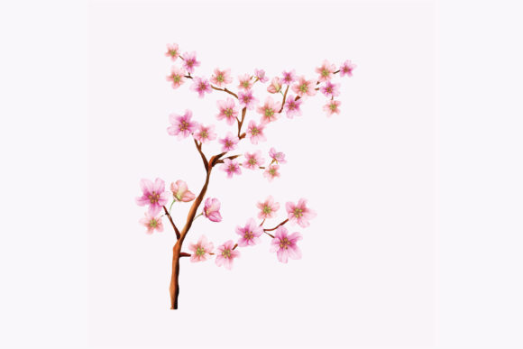 Cherry Blossom Wedding Card Set: Your Spring-Inspired Design Solution